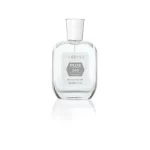 249 for Man 50ml - Görsel 2